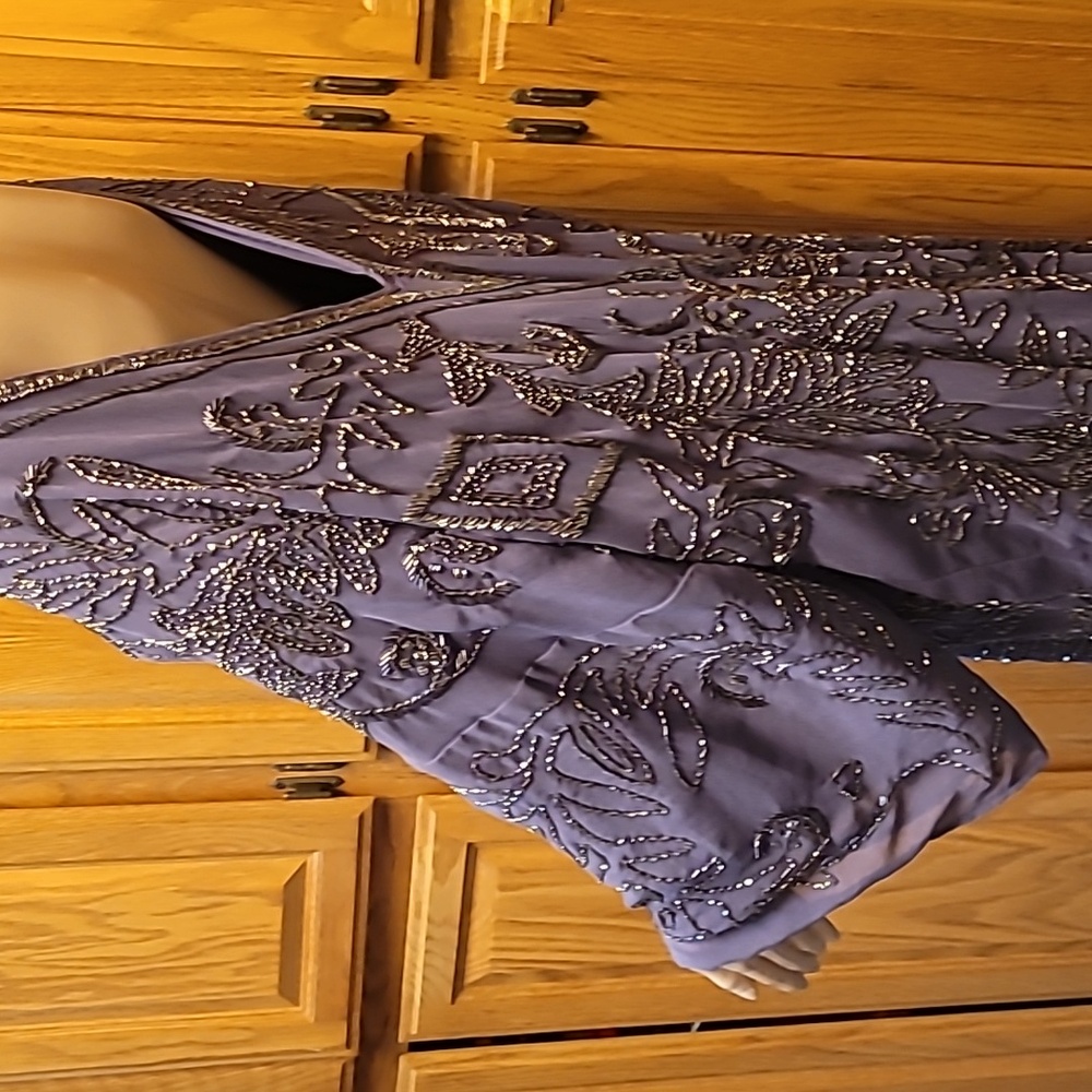 Absolutely Stunning Dress - Picture 4 of 7